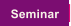 Seminar