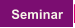 Seminar